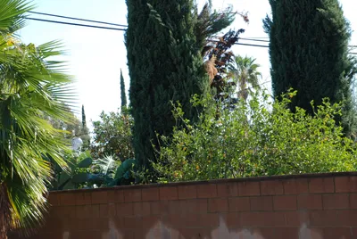 DSC_0032 (Large).JPG